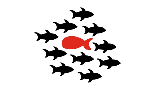 Типовые решения программы, учитывающие специфику разных отраслей